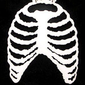 Ribcage Necklace